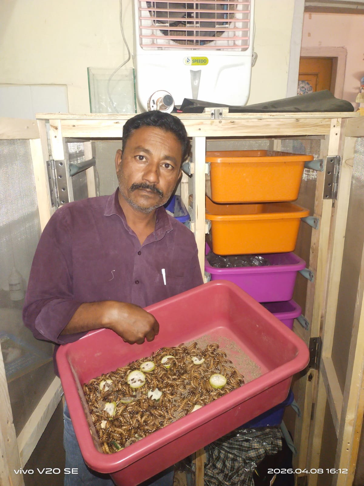 Pet PaPa Farms insect farming